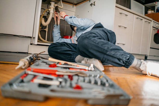 Best Plumbing Repair Near Me  in Mesilla, NM