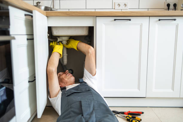 Best Same-Day Plumbing Service  in Mesilla, NM